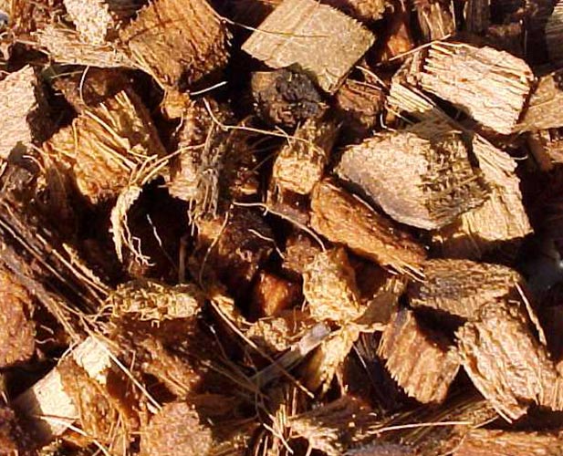 5 Reasons Greenhouse Growers Trust Coco Chips Exporters from Sri Lanka