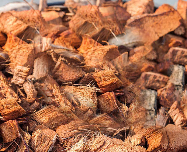Husk / Rice Husk Ash राइस हस्क ऐश Kothari Bio Fuels Chennai Husk / Rice Husk Ash राइस हस्क ऐश Kothari Bio Fuels Chennai